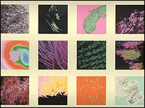 Seran Kubisa's collection