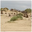 Dunes