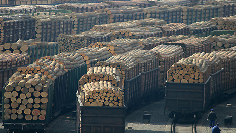 illegal logging from Siberia