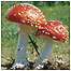Estates Index (Image: Fly Agaric)