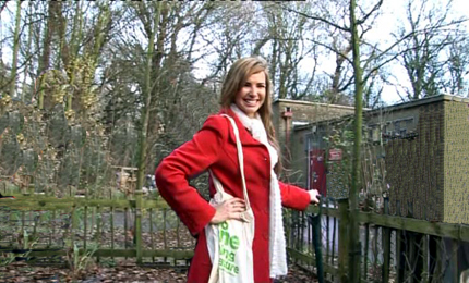 Childs drawing of garden