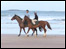 Horses on beach