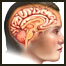 مننجيت
