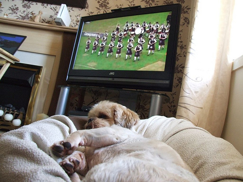 Tilly@the Worlds2010