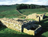 Housesteads Roman Fort