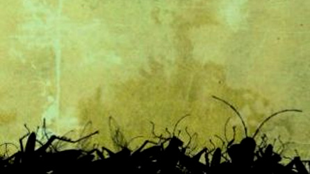 Rhan o glawr y llyfr