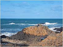 Giant's Causeway (Image: Northern Ireland Tourist Board)