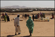 Abu Shouk camp - North Darfur