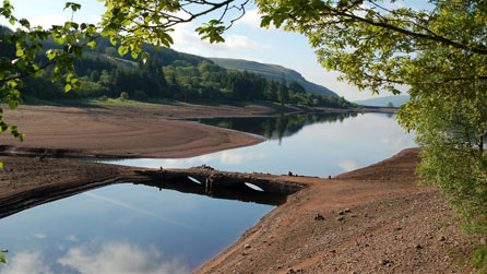 llwyn_onn_reservoir.jpg