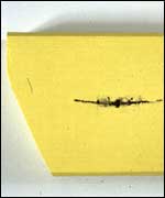 Yellow Axe Head Enola Gay Mute by Terry Atkinson 