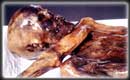 The Iceman in his preserved state