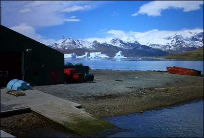 King Edward Point in South Georgia