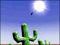 留学生的速食爱情