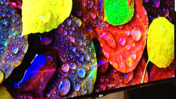 TV showing leaves behind water droplets