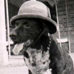 Old Timer Habbaniya, Iraq