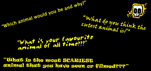 webchat with Steve and Naomi