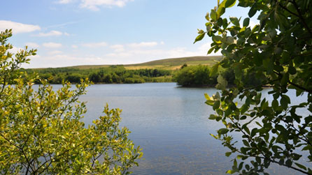 Parc Bryn Bach