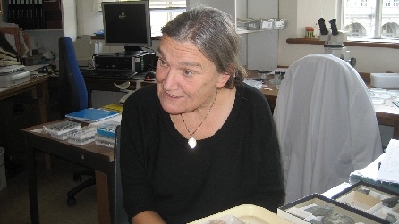 Prof. Dianne Edwards
