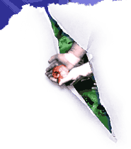 The Body Trade radio series