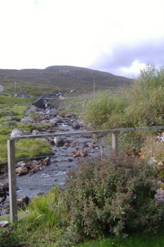 view north from garden