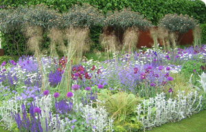 The Daily Telegraph garden