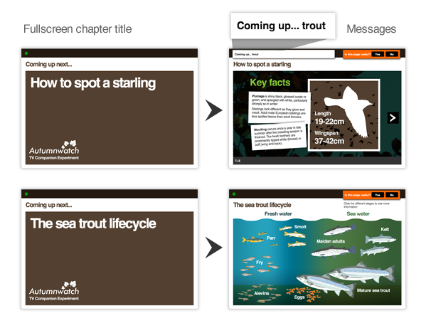 The sequence from chapter title to content with message to the next chapter title.