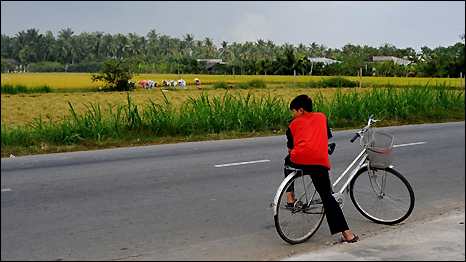 Vietnam's Mekong Delta. Photo: Emma Lynch/BBC News website 