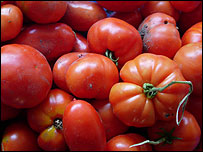 Yummy toms!