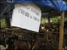 Kambing kurban