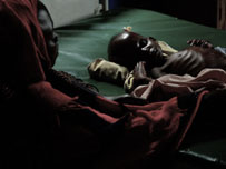 Aftershock photos by Mark Pearson