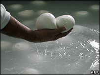 Mozzarella cheese