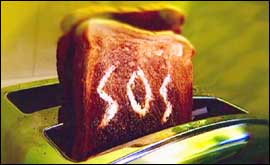 SOS on piece of toast 
