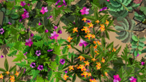 A detail from the takeaway plan