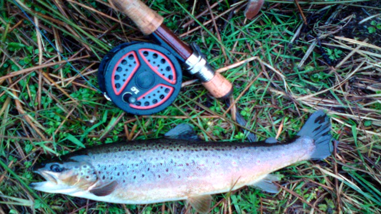 Breac agus slat-iasgaich