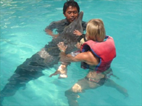 Swimming with dolphins