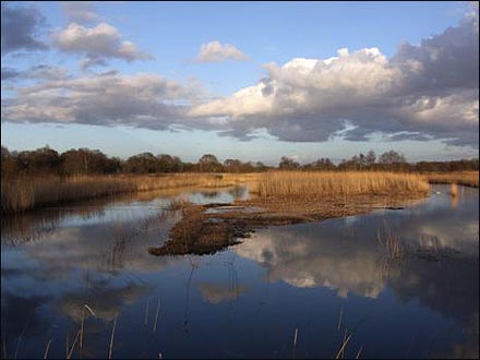Lovely Levels (Roger Fry)