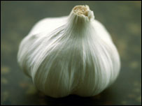 Garlic