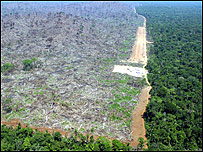 Amazon'da ormansızlaşma