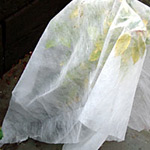 Horticultural Fleece.