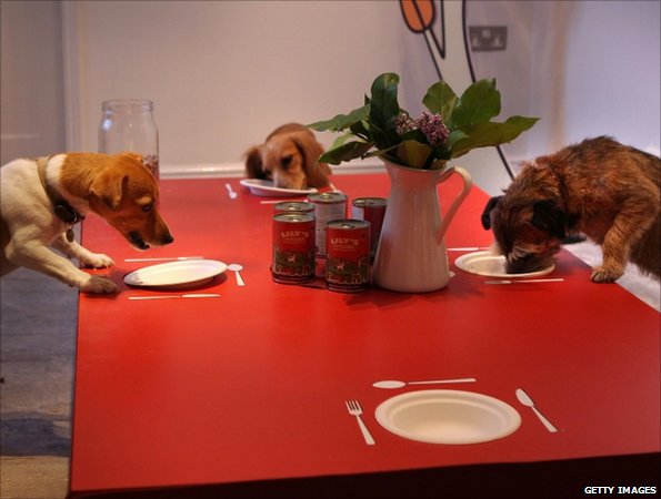 Dogs eat at doggie diner