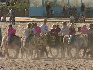 Children riding donkies along the beach