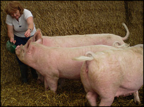 Tricia Horsley with her pigs.