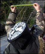 Looking for bean seeds