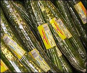 Shrink wrapped cucumbers