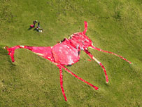 Hackpen Hill white horse - Comic Relief