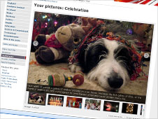 Your pictures of celebration