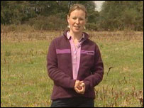 Miranda Krestovnikoff