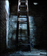 'Ascension To The Surface'