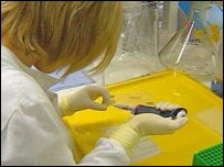 A pesquisa pode também beneficiar países com doenças tropicais