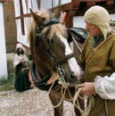 Photograph showing a Medieval peasant feeding a work horse